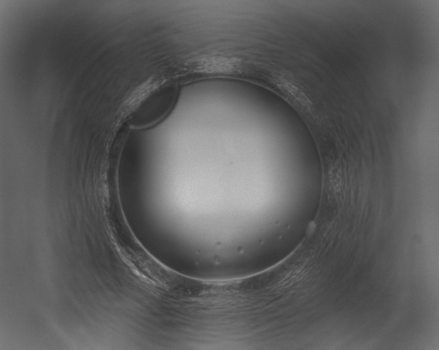 X0000054360682200508011221