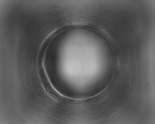 X0000054360684200508011221