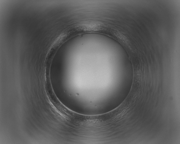 X0000054360686200508011221