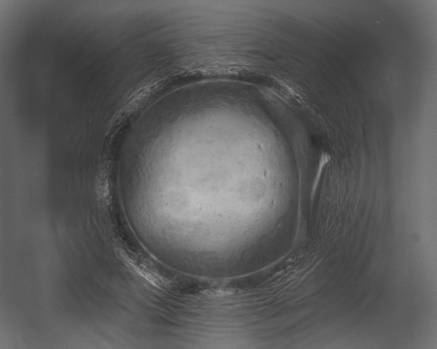 X0000054360687200508011221