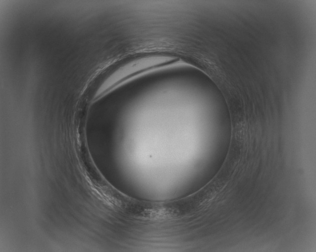 X0000054360688200508011221