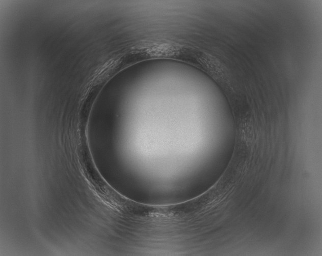 X0000054360690200508011221
