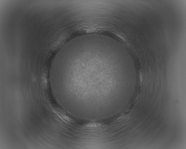 X0000054360691200508011221