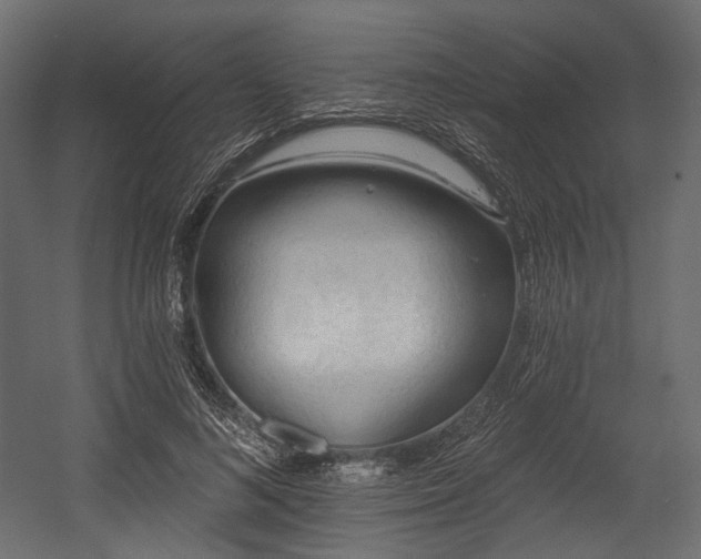 X0000054360692200508011221