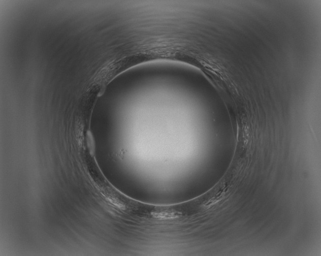 X0000054360693200508011221