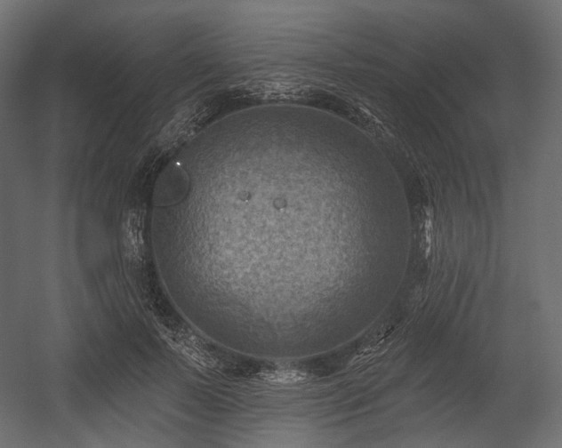 X0000054360695200508011221