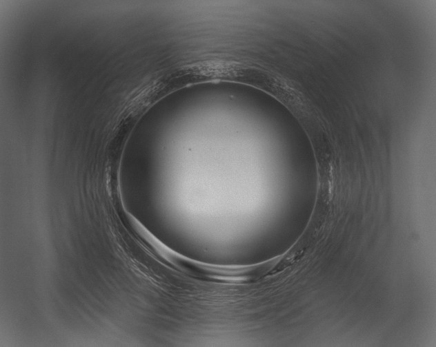 X0000054360696200508011221