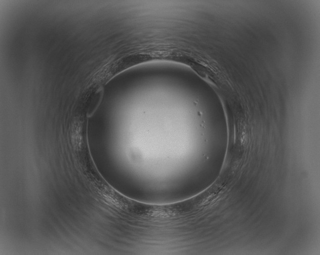 X0000054360697200508011221
