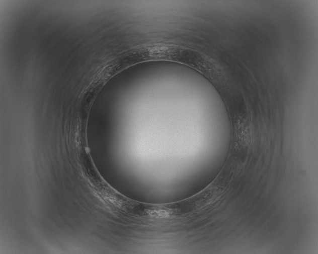 X0000054360698200508011221