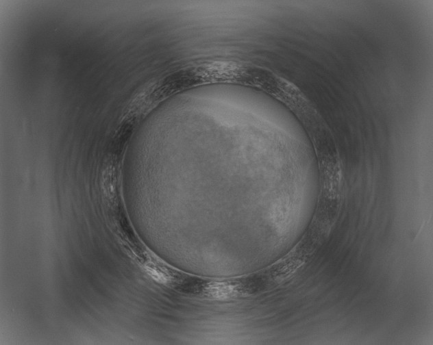 X0000054360701200508011221