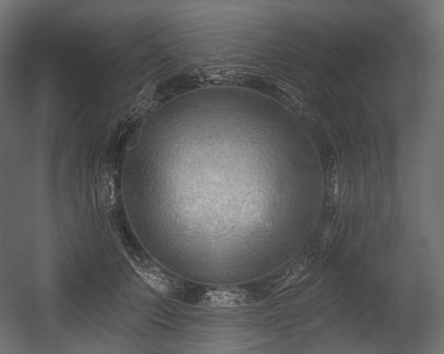 X0000054360703200508011221