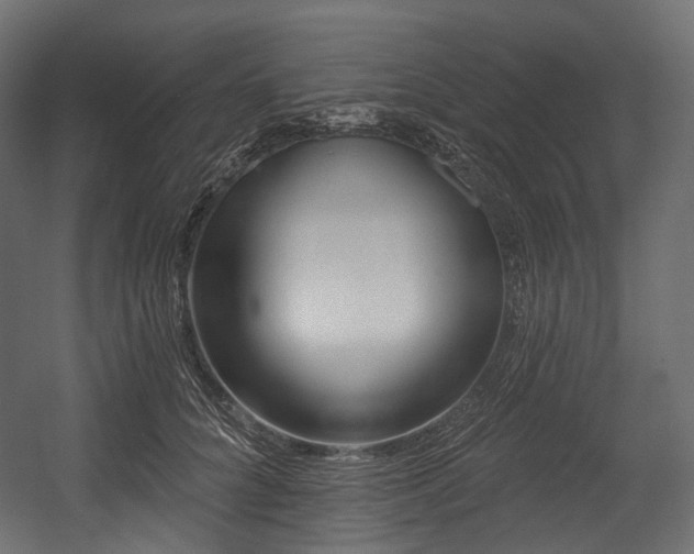 X0000054360704200508011221