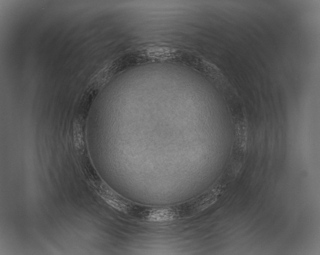 X0000054360705200508011220