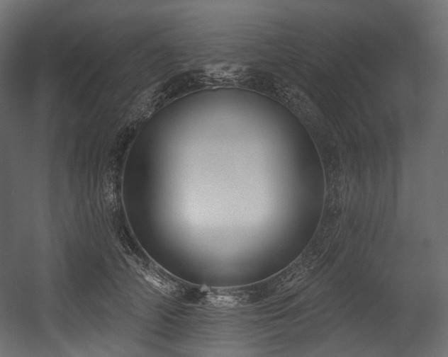 X0000054360706200508011220