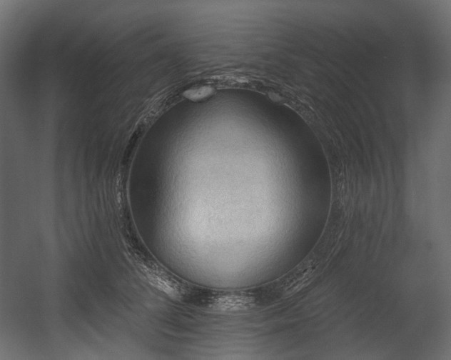 X0000054360708200508011220
