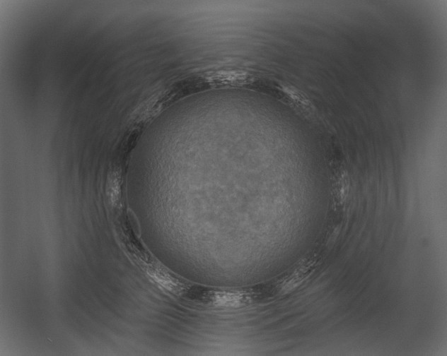 X0000054360709200508011220