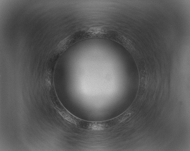 X0000054360710200508011220