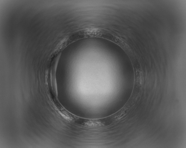 X0000054360712200508011220