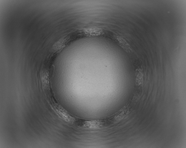 X0000054360713200508011220
