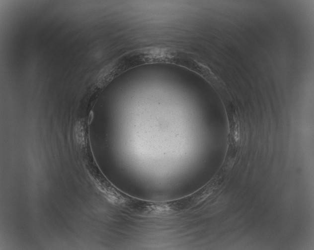 X0000054360715200508011220