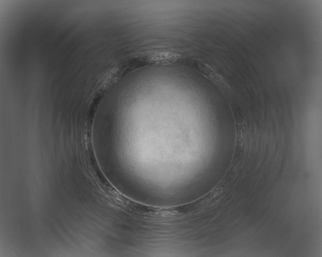 X0000054360716200508011220