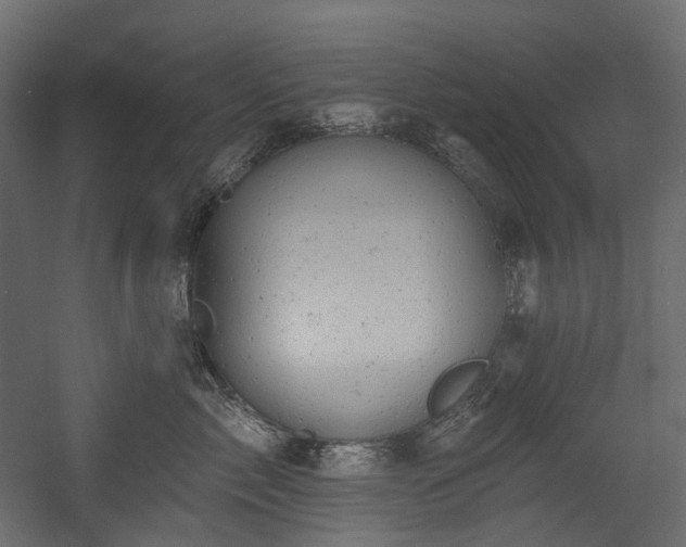 X0000054360717200508011220