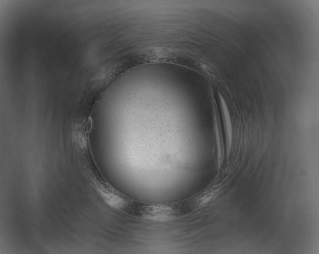 X0000054360719200508011220