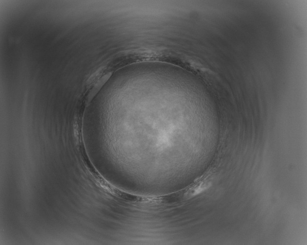 X0000054360720200508011220