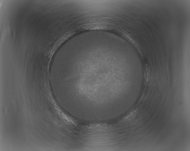 X0000054360721200508011219