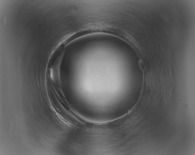 X0000054360722200508011219