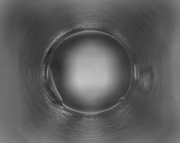 X0000054360723200508011219