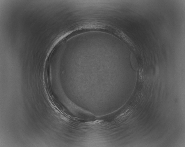 X0000054360724200508011219