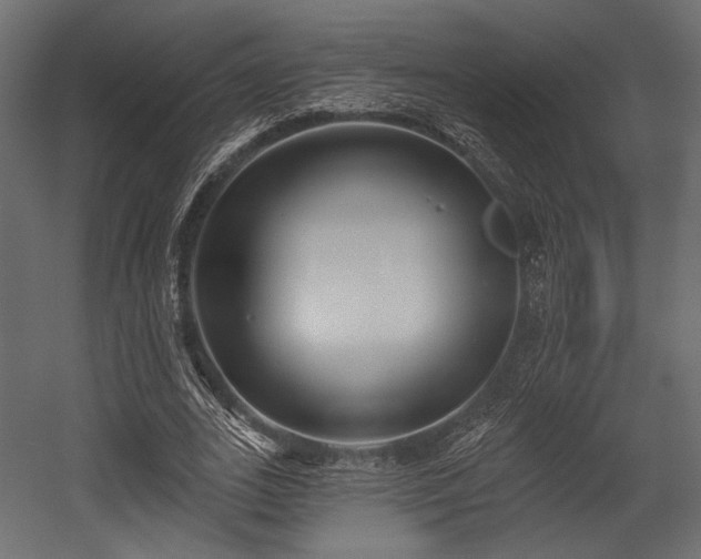 X0000054360727200508011220