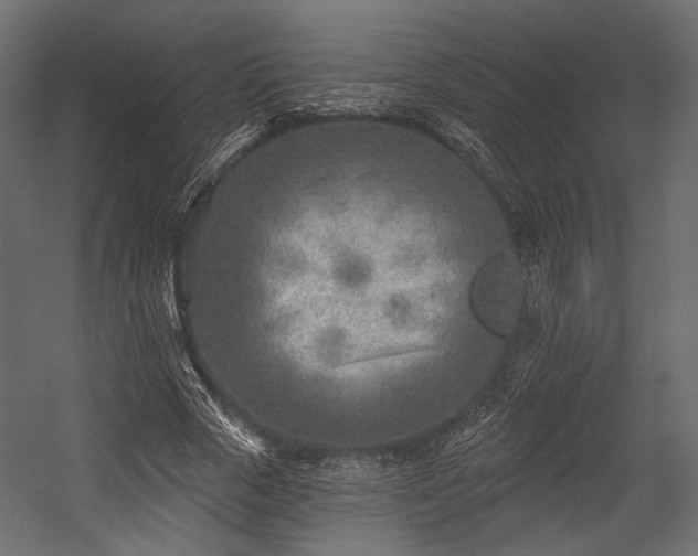 X0000054360729200508011220