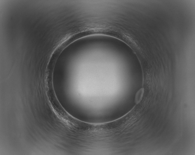 X0000054360730200508011220