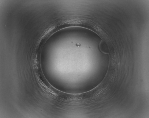 X0000054360731200508011220