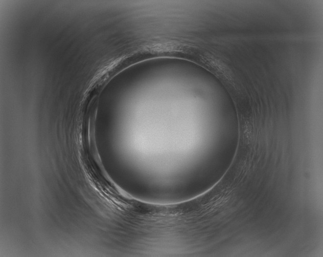 X0000054360732200508011220