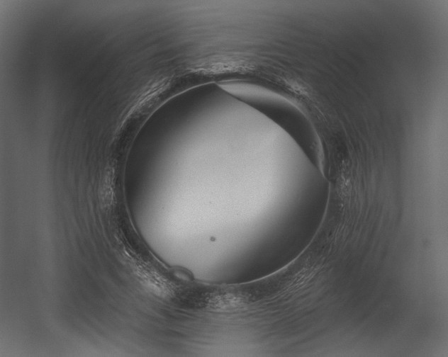 X0000054360735200508011220