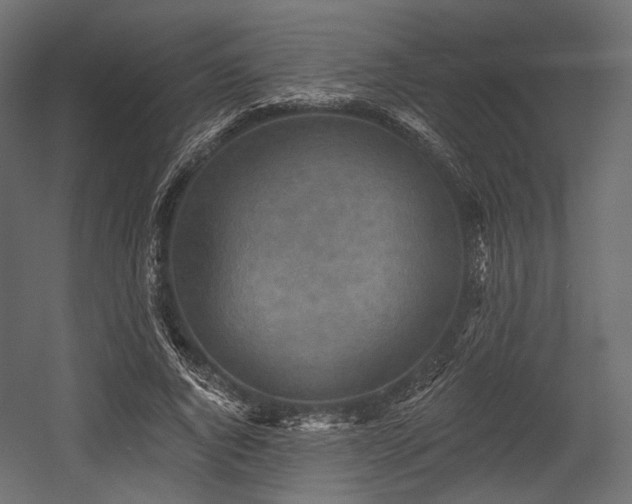 X0000054360736200508011220