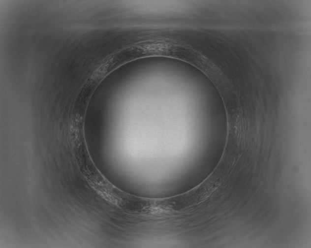 X0000054360737200508011220