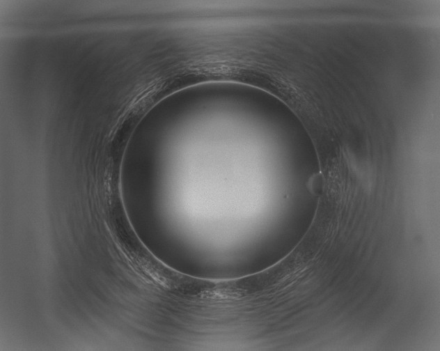 X0000054360739200508011220