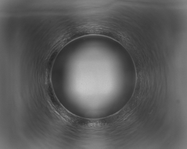 X0000054360744200508011220