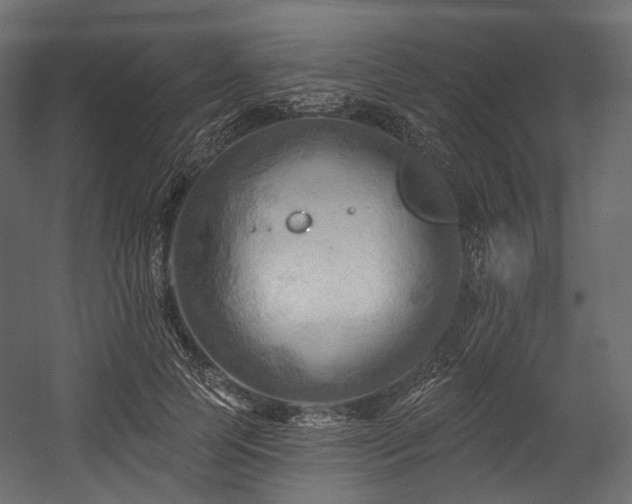 X0000054360745200508011220