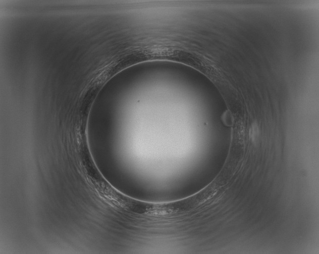 X0000054360746200508011220