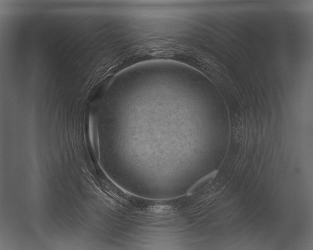X0000054360748200508011220