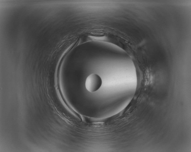 X0000054360750200508011220