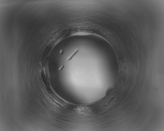 X0000054360752200508011220