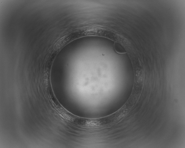 X0000054360753200508011220