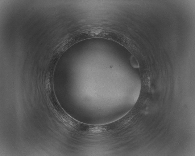 X0000054360754200508011220