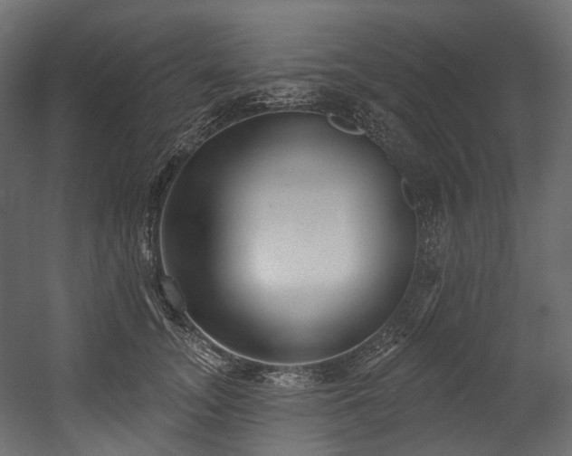 X0000054360755200508011220